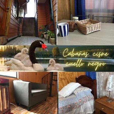 Cabanas Cisne Cuello Negro Apartamento Valdivia Exterior foto
