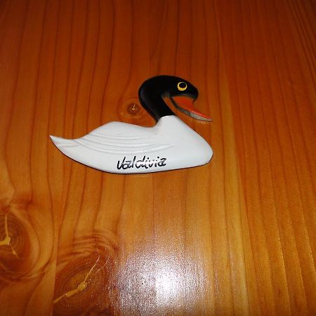 Cabanas Cisne Cuello Negro Apartamento Valdivia Exterior foto