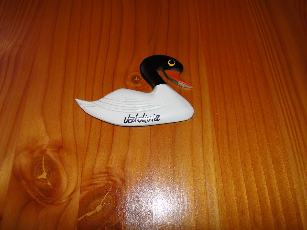 Cabanas Cisne Cuello Negro Apartamento Valdivia Exterior foto